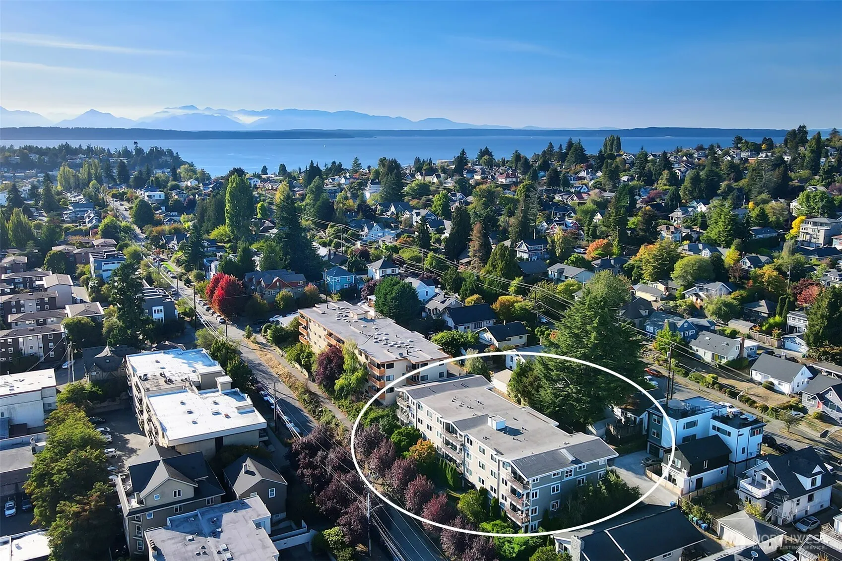 2830 NW 56th Street #303, Seattle, WA 98107