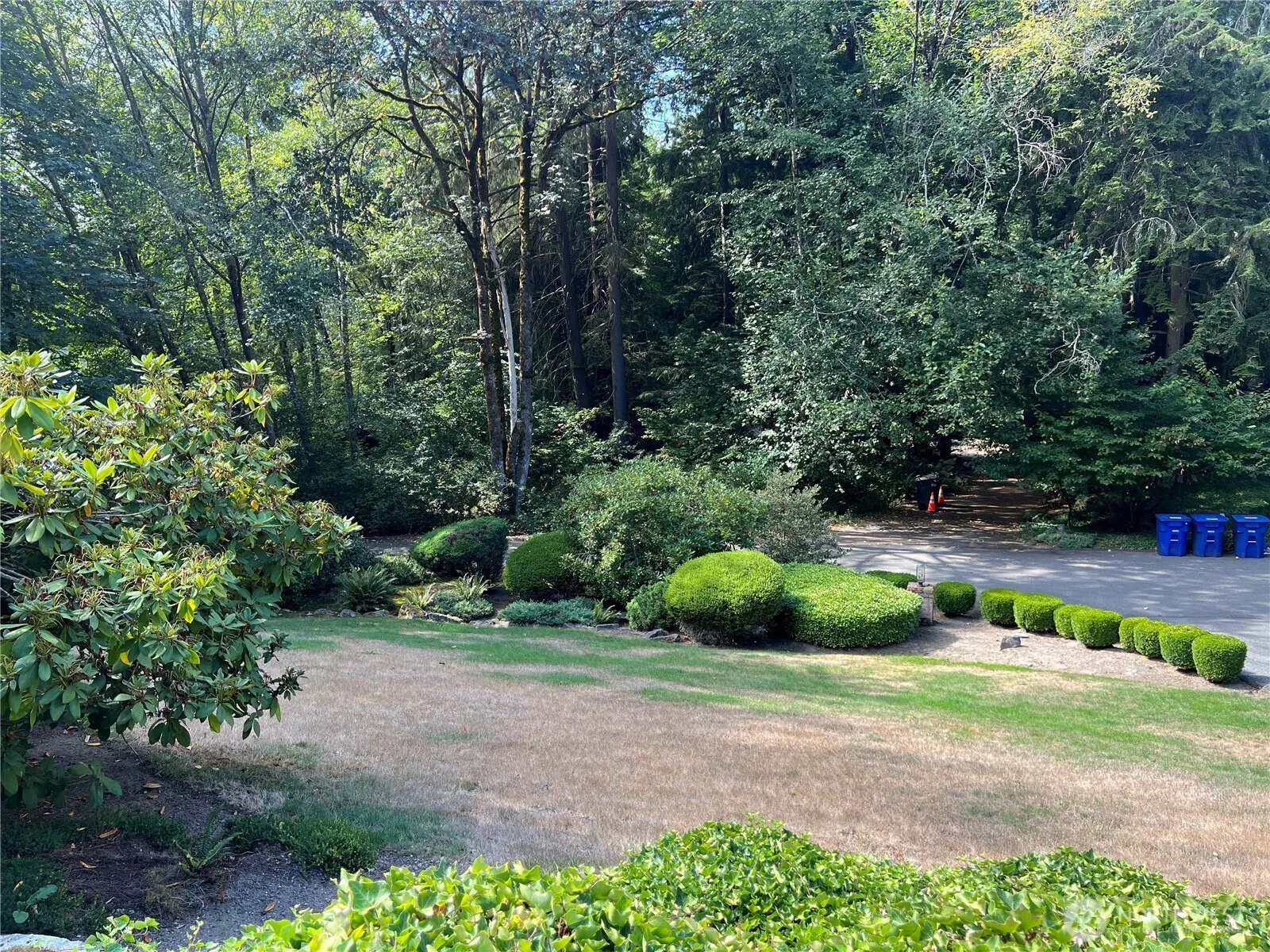 3650 116th Avenue NE, Bellevue, WA 98004