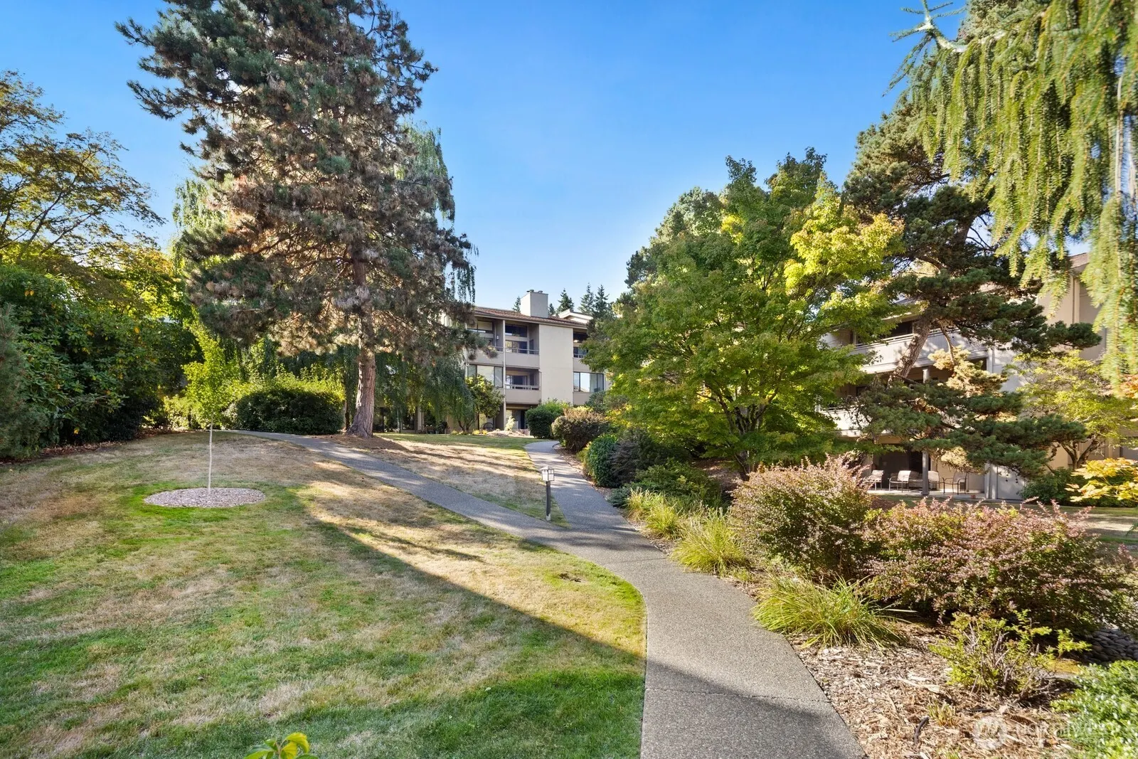 6652 Parkpoint Way NE #D-311, Seattle, WA 98115-7847