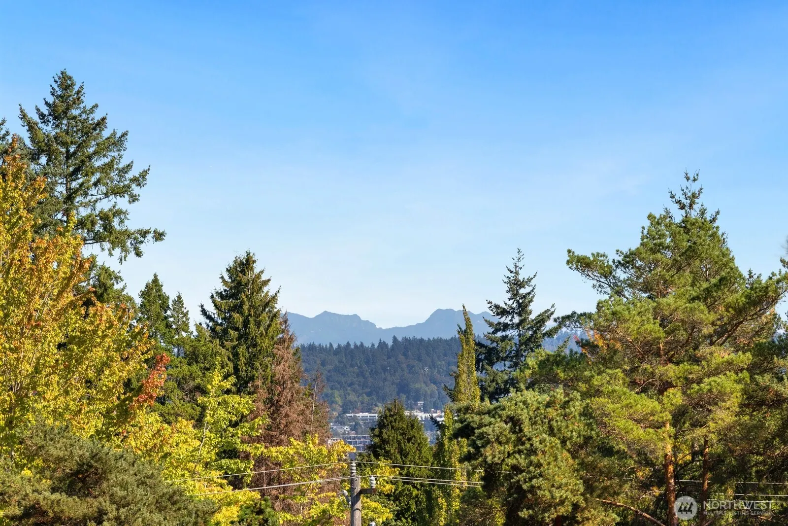 6652 Parkpoint Way NE #D-311, Seattle, WA 98115-7847