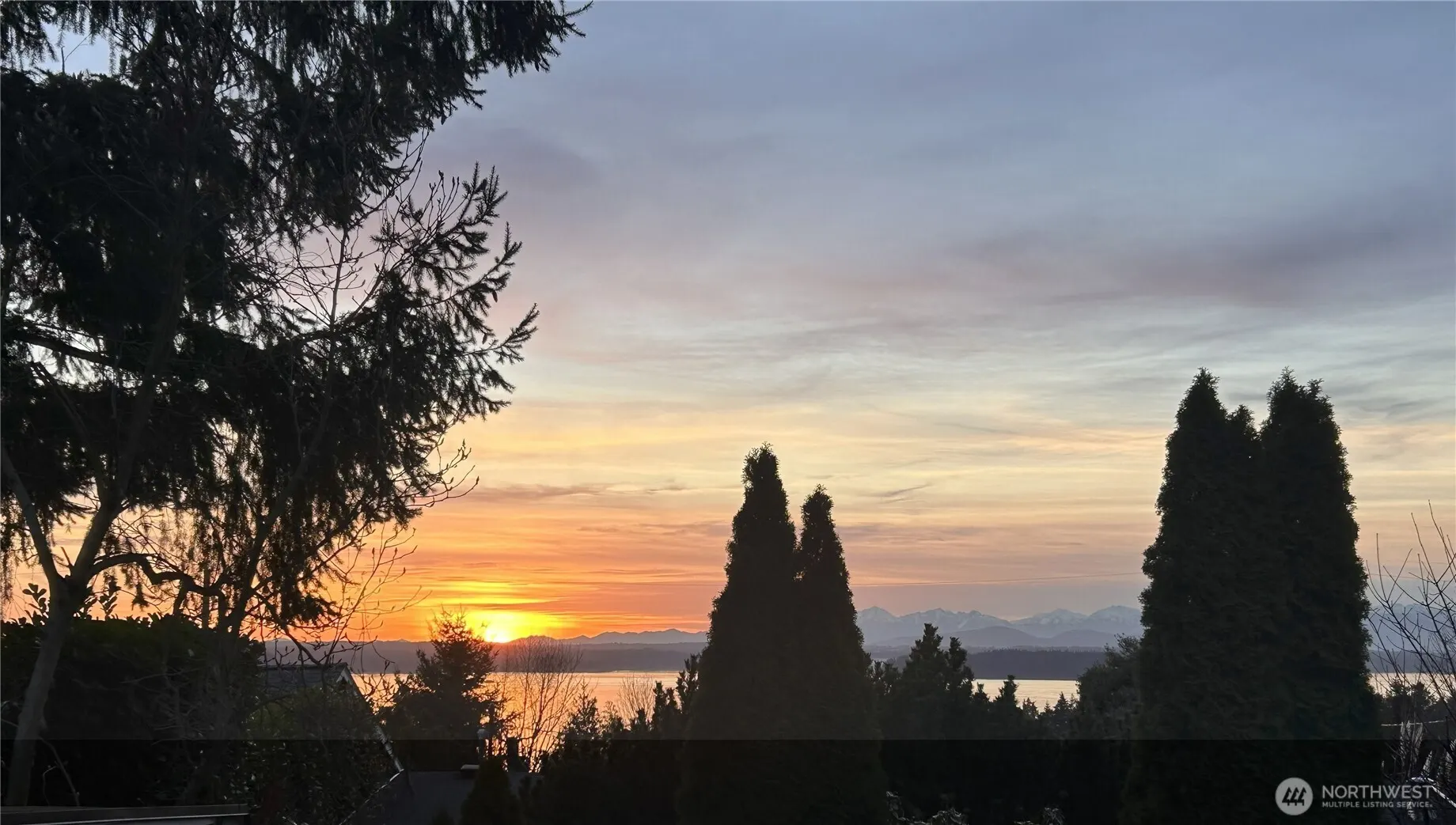 8309 California Avenue SW, Seattle, WA 98136