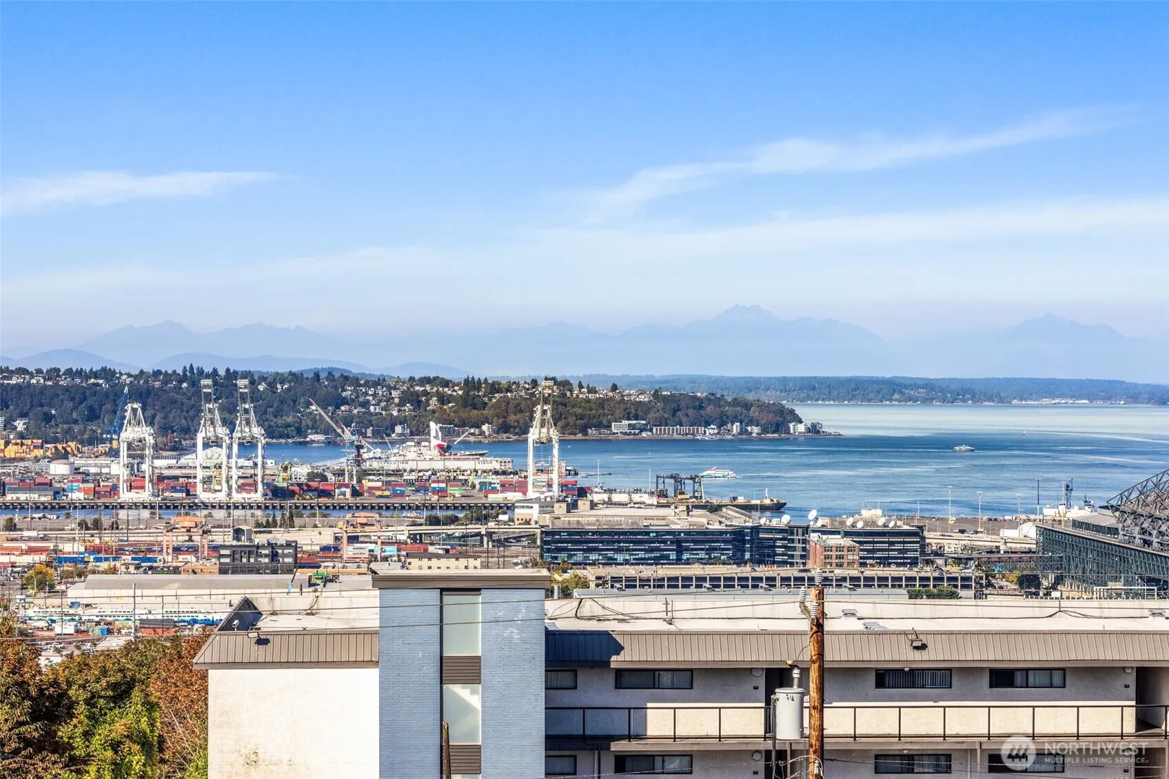 1723 13th Avenue S #404, Seattle, WA 98144