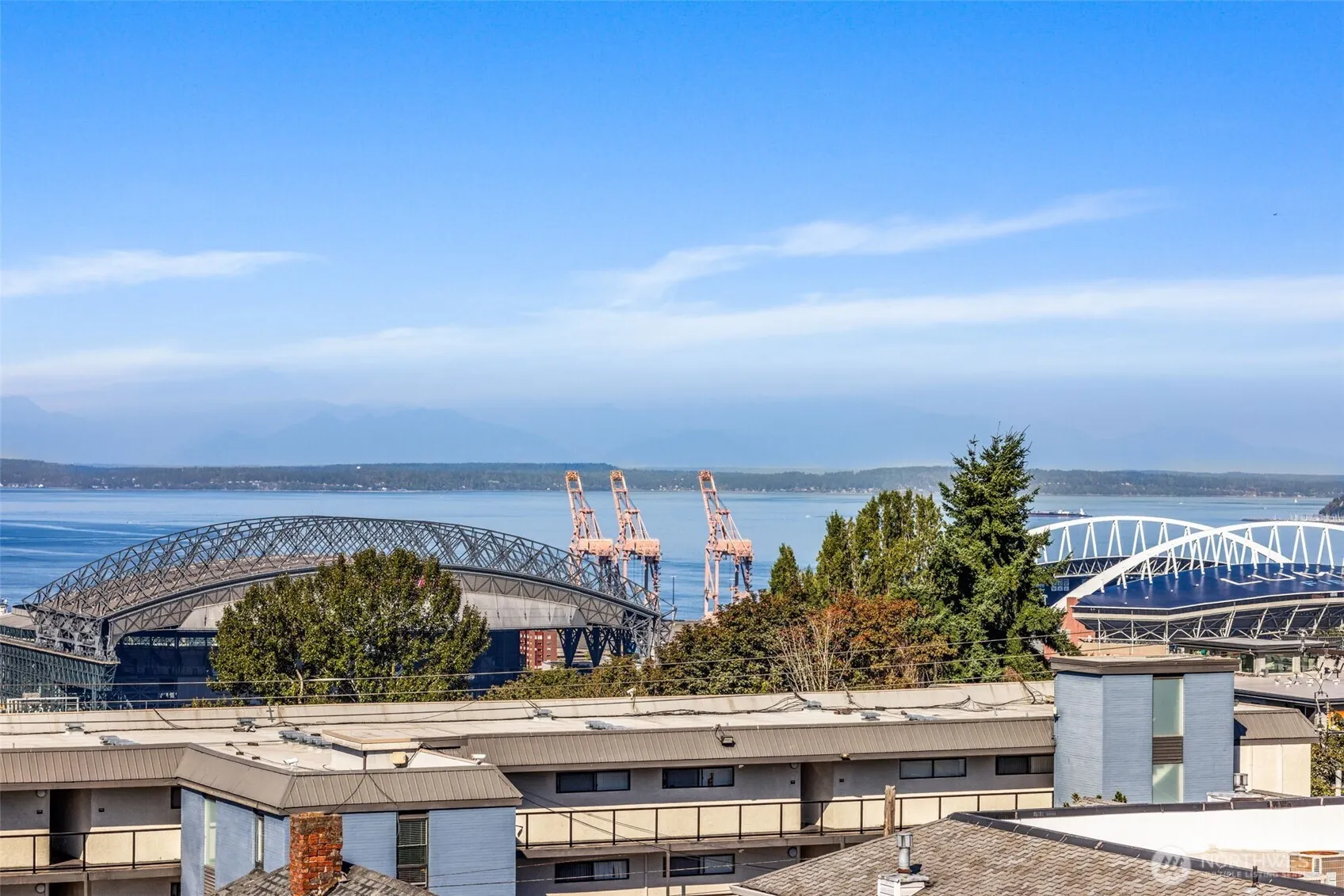 1723 13th Avenue S #404, Seattle, WA 98144