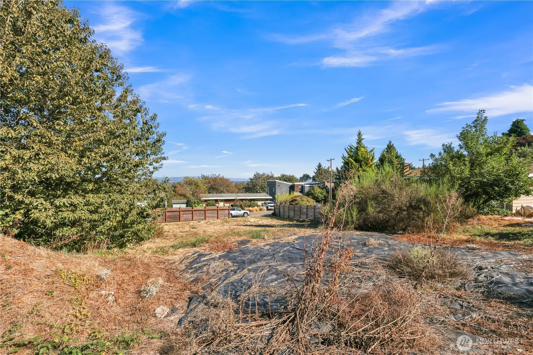 9017 3rd Avenue SW, Seattle, WA 98106