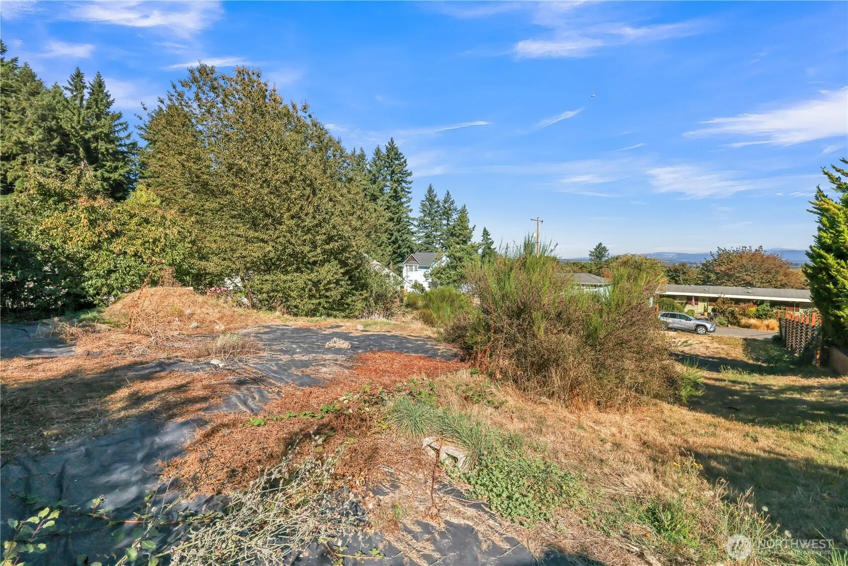 9017 3rd Avenue SW, Seattle, WA 98106