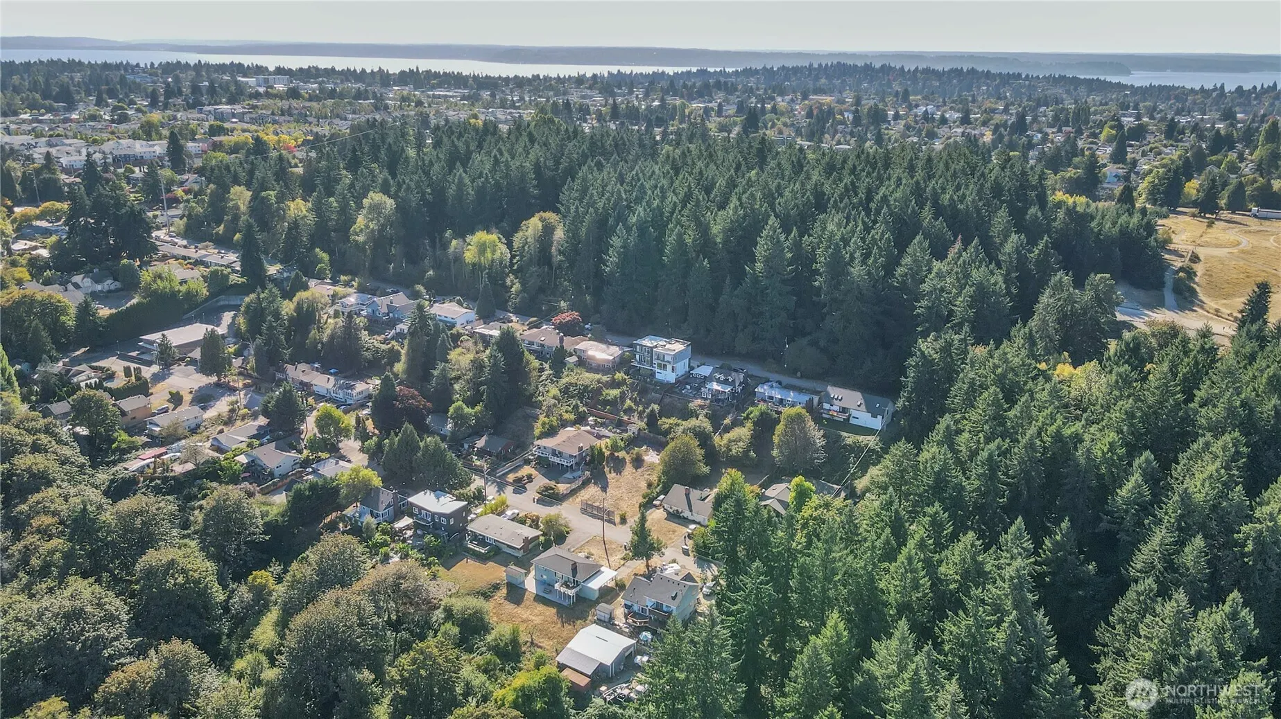 9017 3rd Avenue SW, Seattle, WA 98106