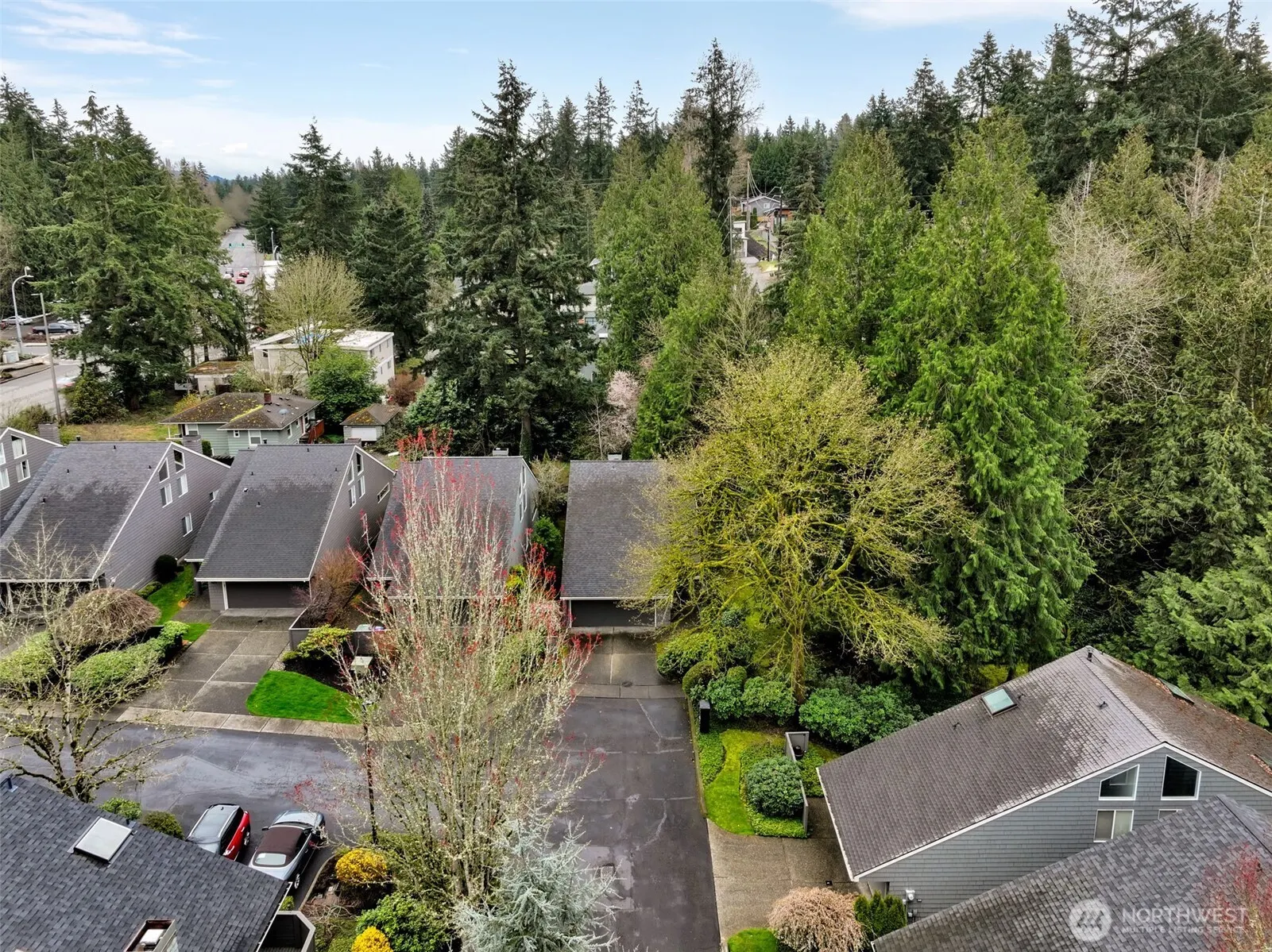 621 Bellevue Way SE, Bellevue, WA 98004