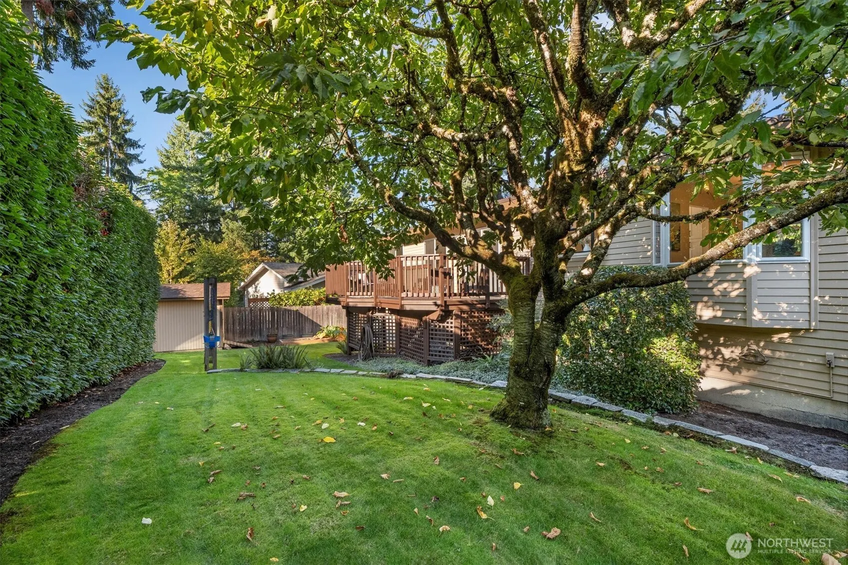 10824 SE 23rd Street , Bellevue, WA 98004