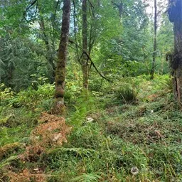 190 XX SE 66th Street , Issaquah, WA 98027