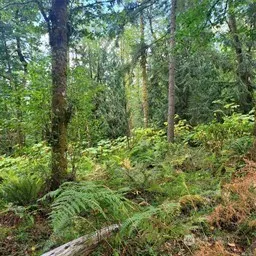 190 XX SE 66th Street , Issaquah, WA 98027