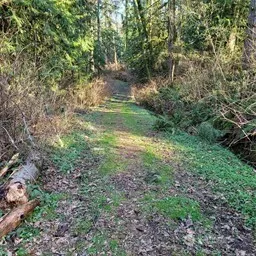 190 XX SE 66th Street , Issaquah, WA 98027