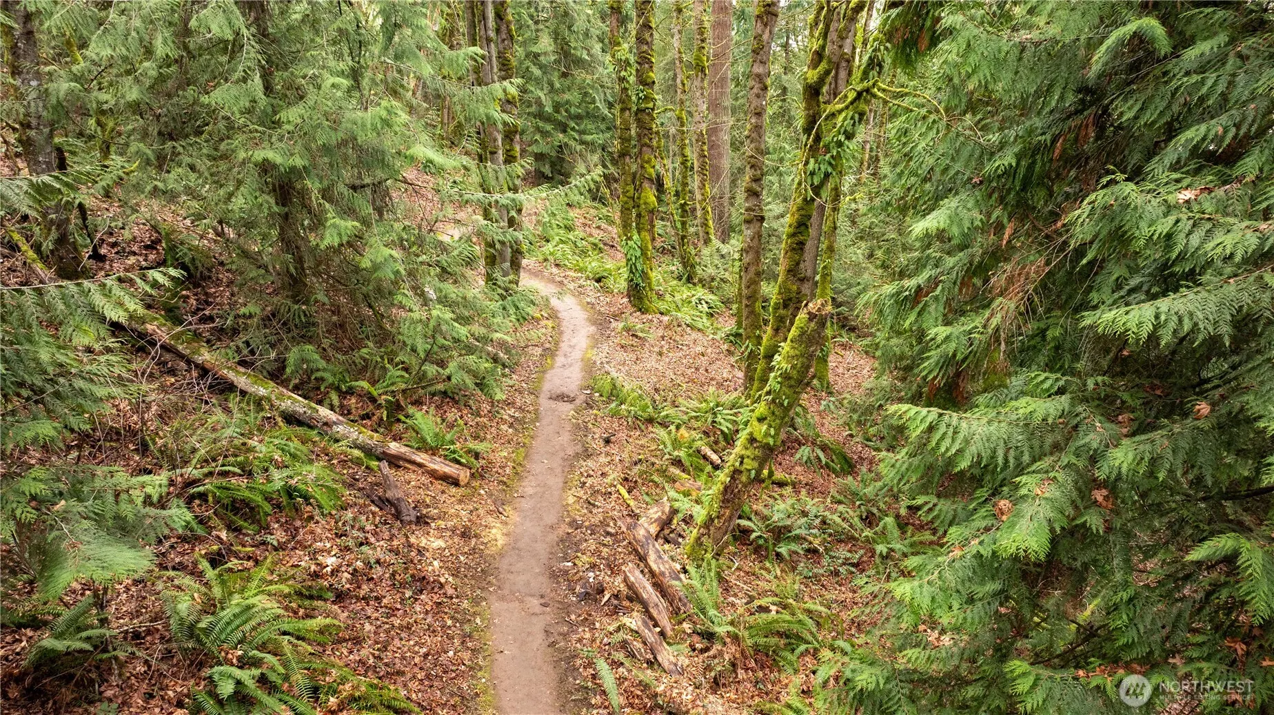 190 XX SE 66th Street , Issaquah, WA 98027