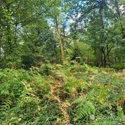 190 XX SE 66th Street , Issaquah, WA 98027