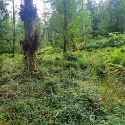 190 XX SE 66th Street , Issaquah, WA 98027