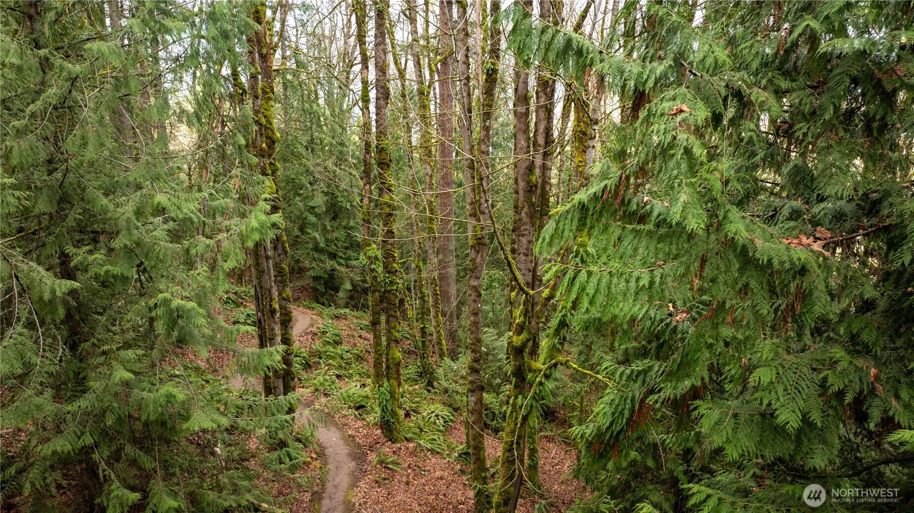 190 XX SE 66th Street , Issaquah, WA 98027
