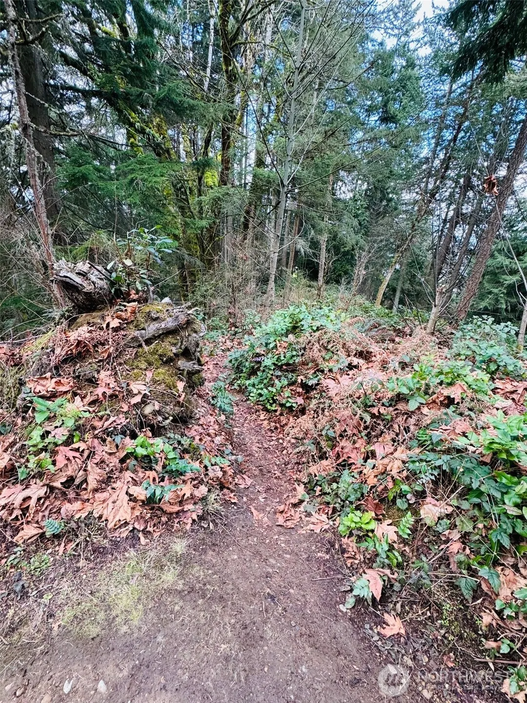 190 XX SE 66th Street , Issaquah, WA 98027