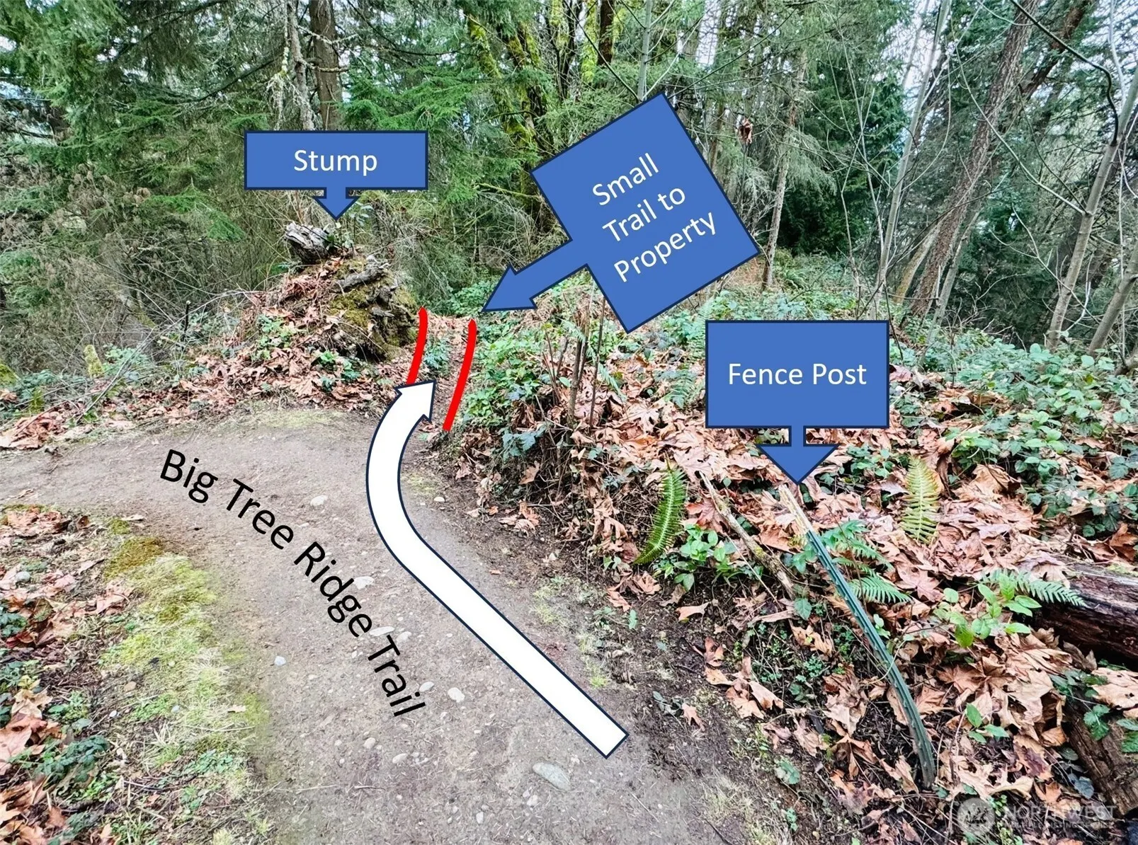 190 XX SE 66th Street , Issaquah, WA 98027