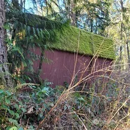 190 XX SE 66th Street , Issaquah, WA 98027