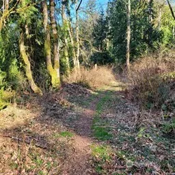 190 XX SE 66th Street , Issaquah, WA 98027