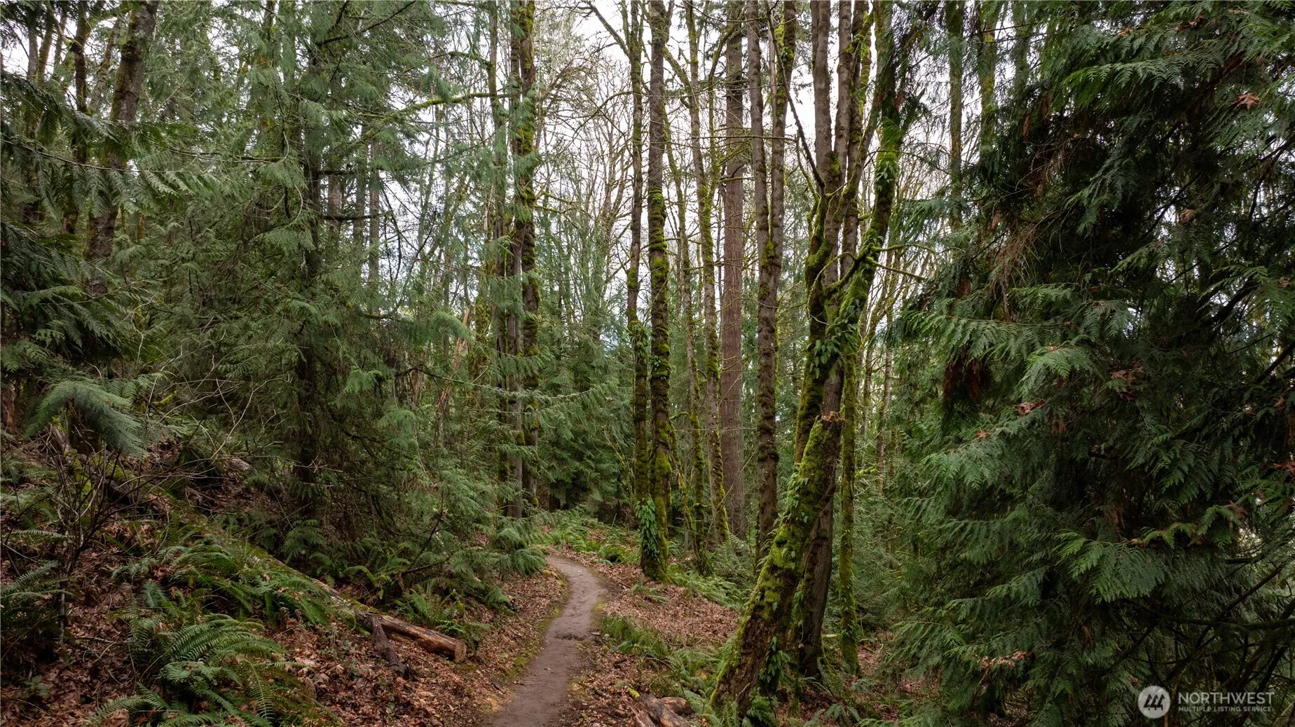 190 XX SE 66th Street , Issaquah, WA 98027