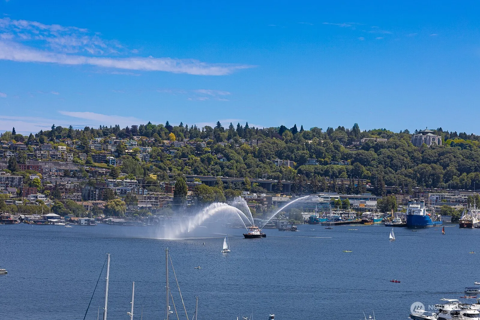 2420 8th Avenue N #102, Seattle, WA 98109