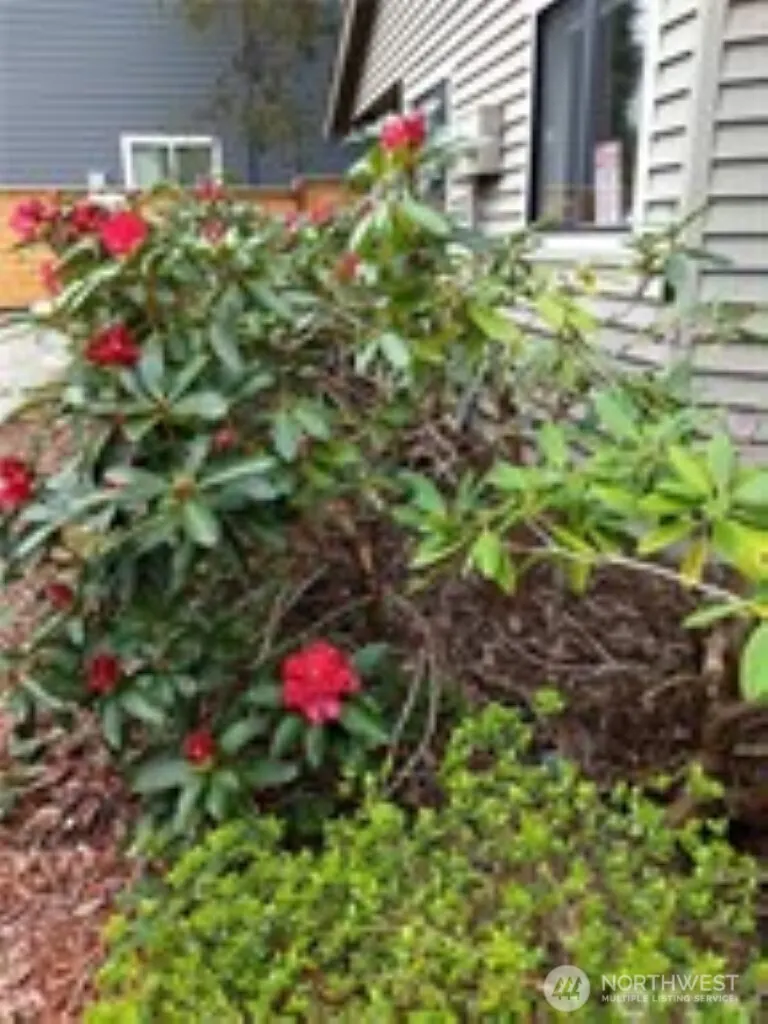285 SE Croston Lane #A, Issaquah, WA 98027