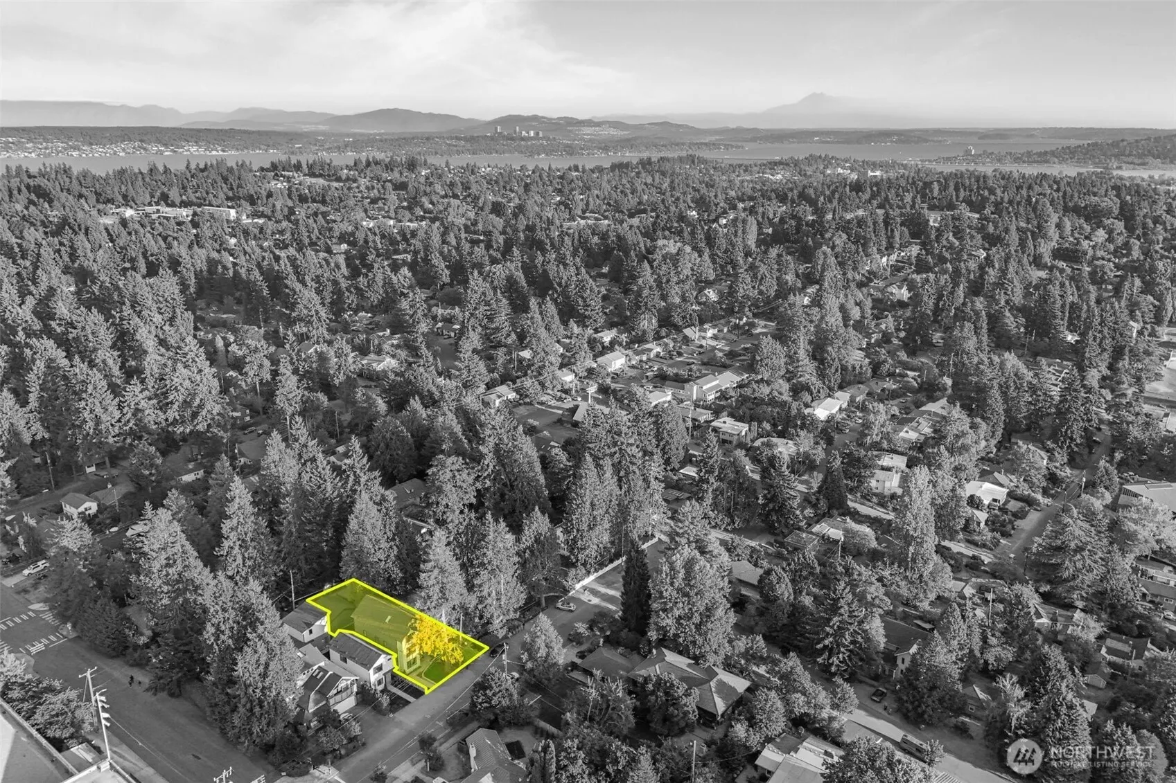 8312 28th Avenue NE, Seattle, WA 98115
