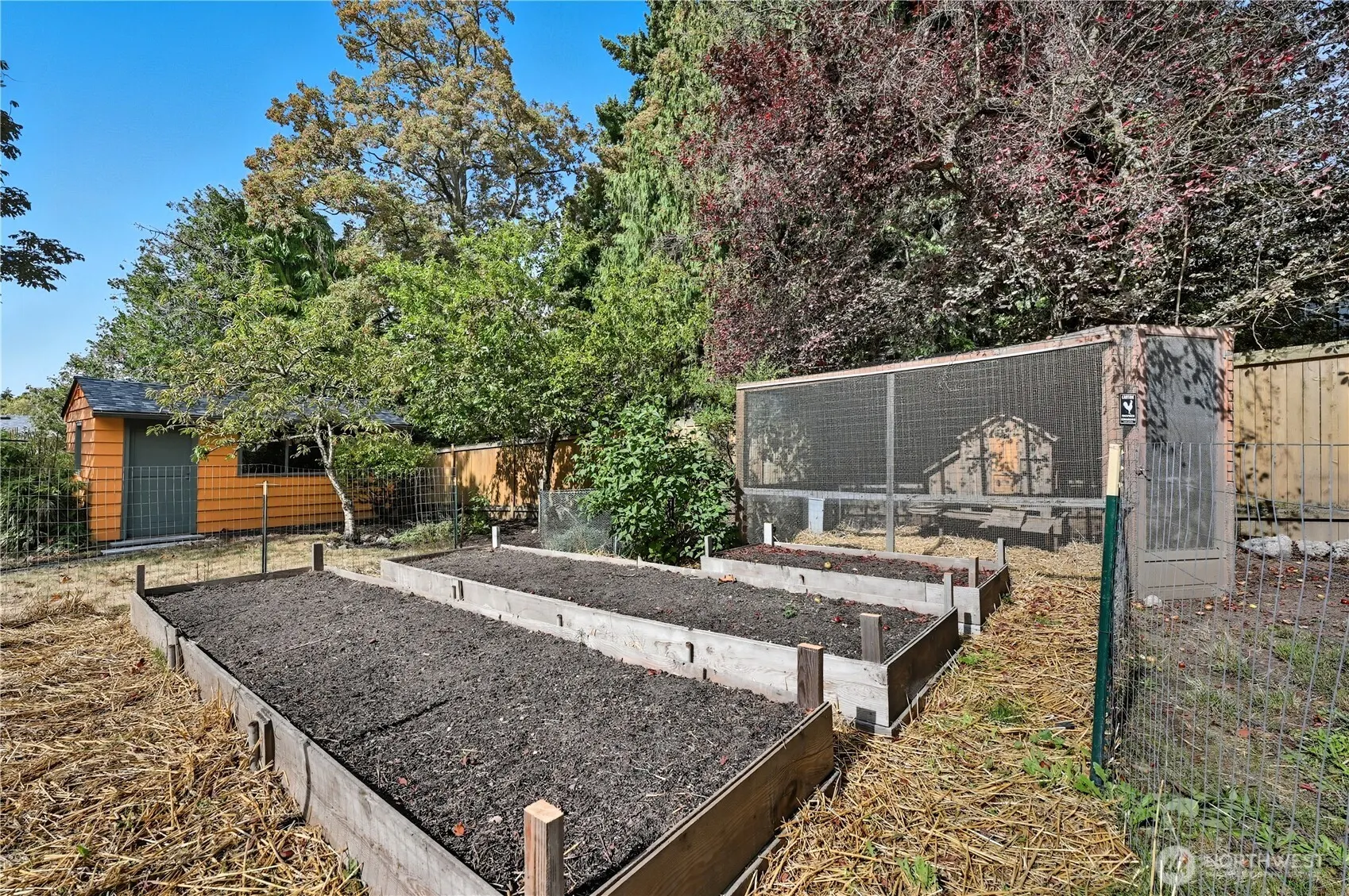 8533 Burke Avenue N, Seattle, WA 98103