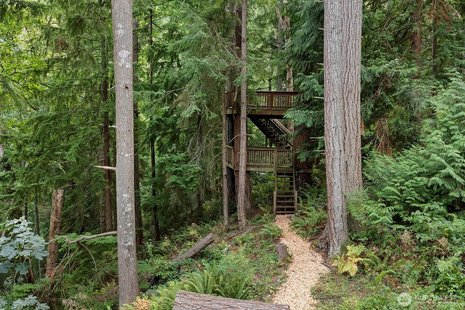 2310 Squak Mountain Loop SW, Issaquah, WA 98027