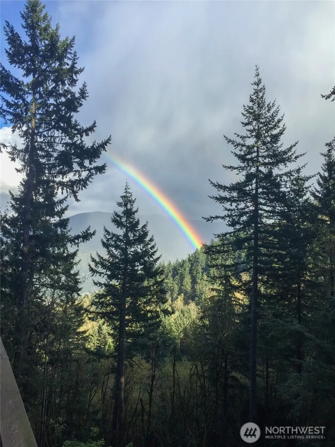 2310 Squak Mountain Loop SW, Issaquah, WA 98027