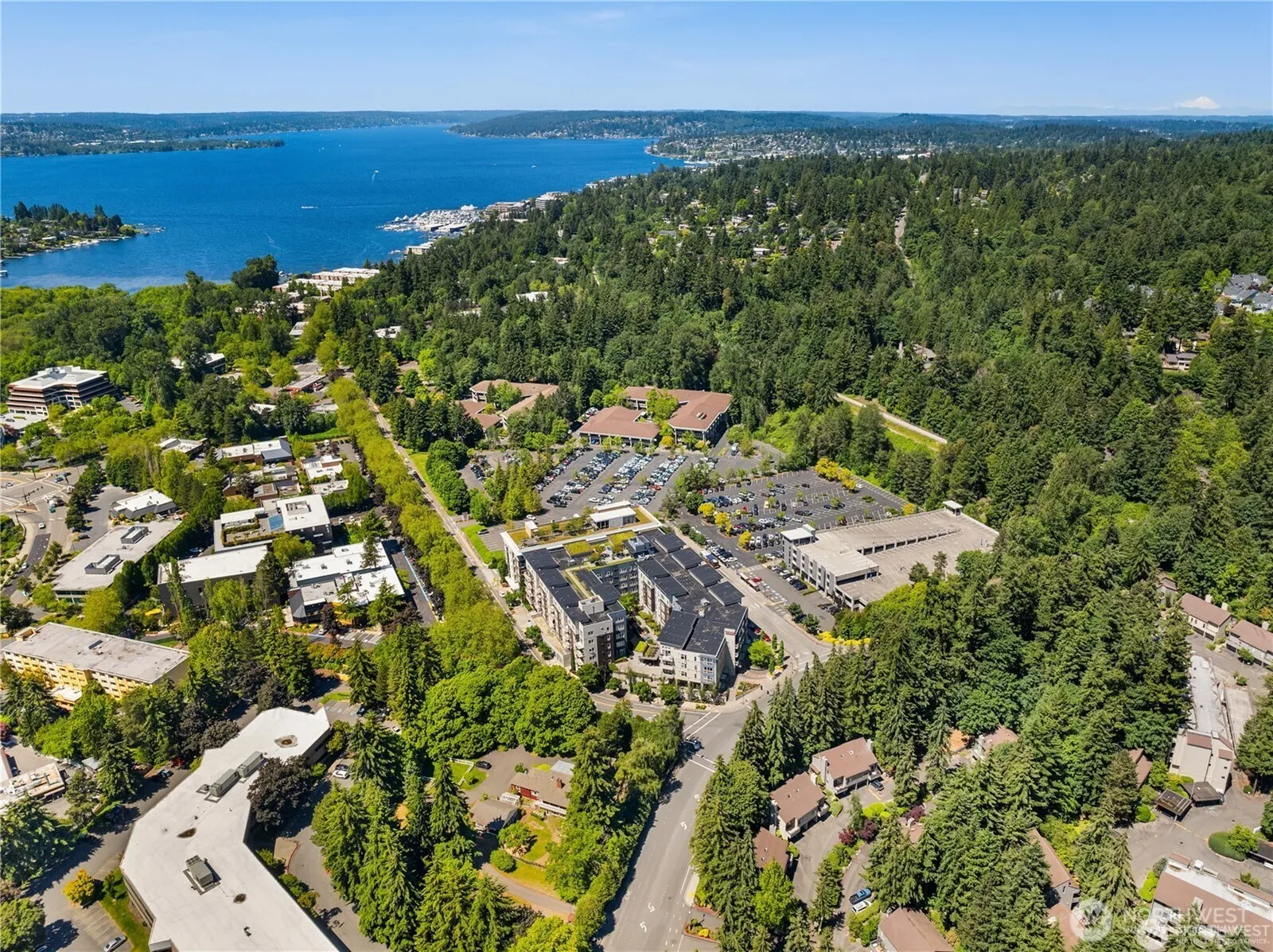 3518 109th Place NE #104, Bellevue, WA 98004