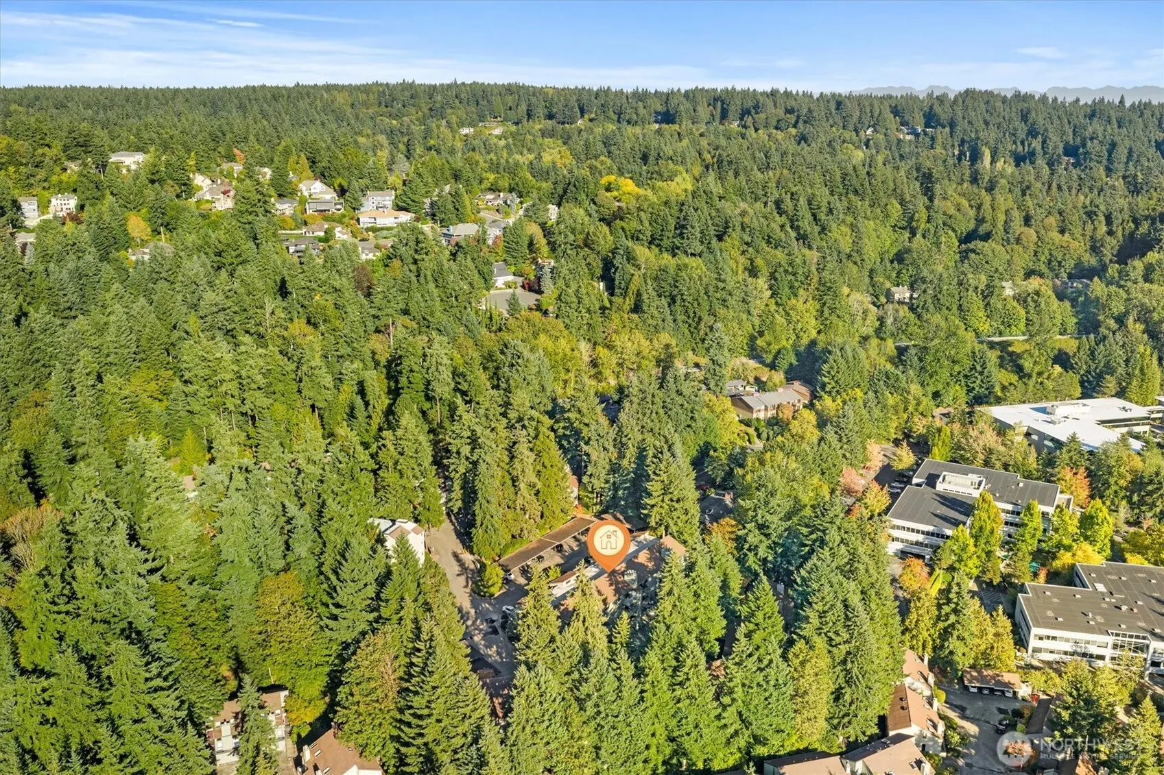 3518 109th Place NE #104, Bellevue, WA 98004