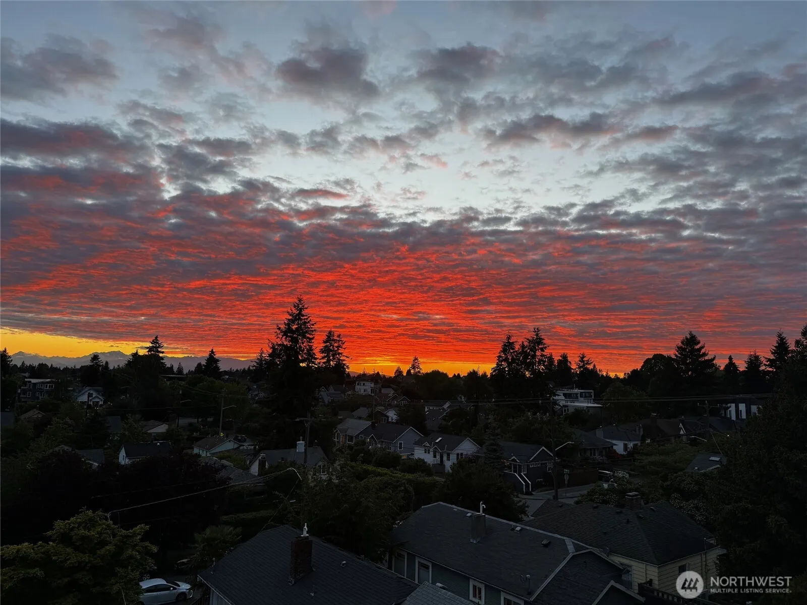 7747 15th Avenue NW #A, Seattle, WA 98117