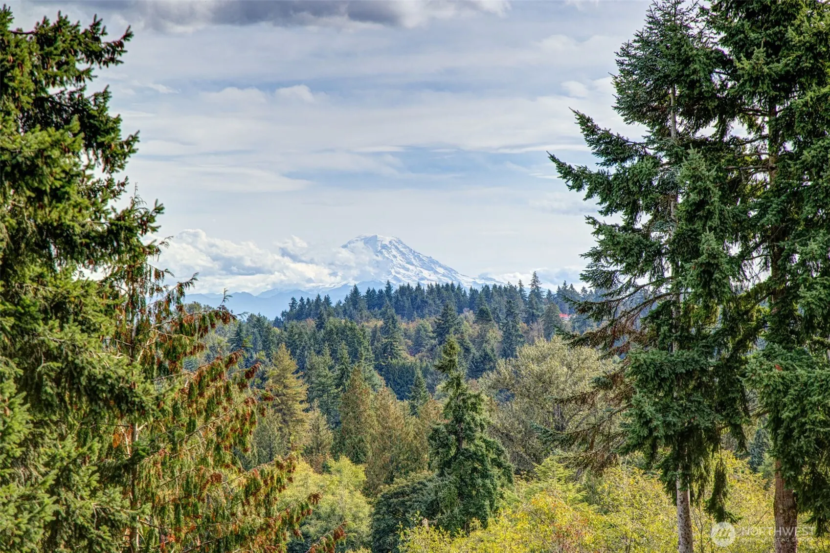 16256 8th Avenue SW, Seattle, WA 98166