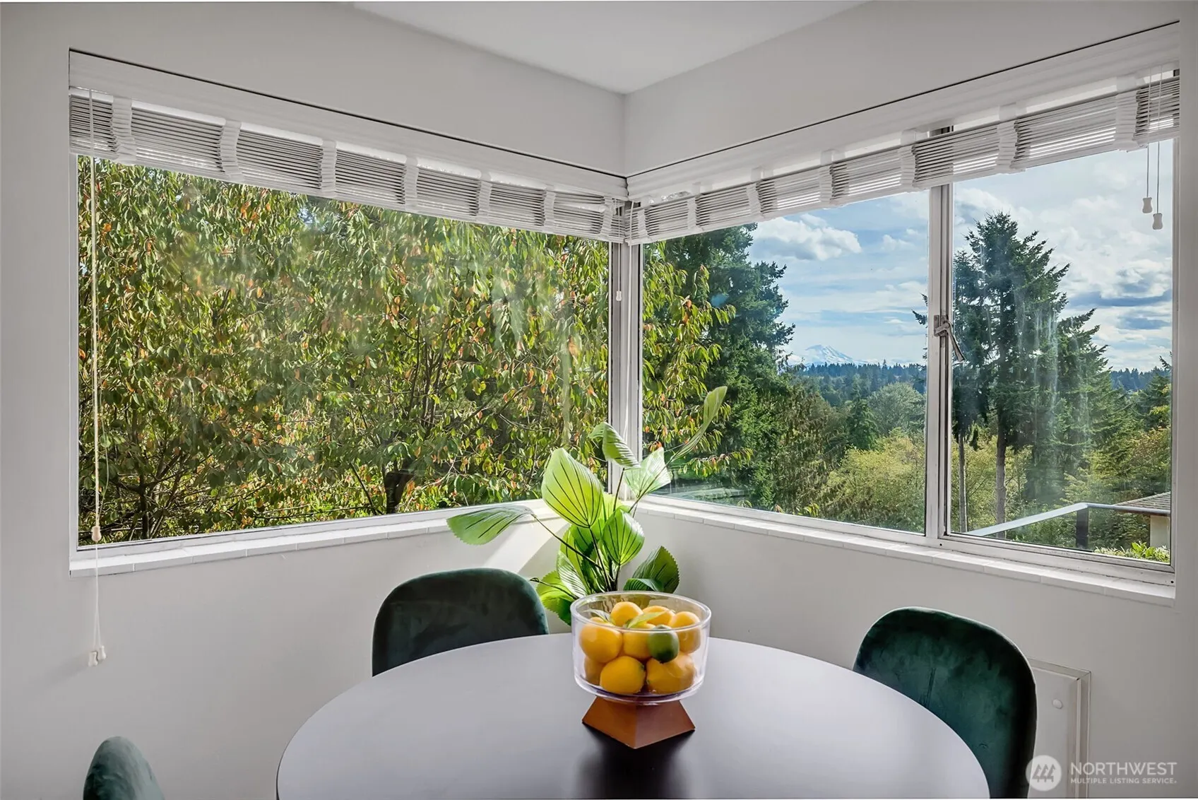 16256 8th Avenue SW, Seattle, WA 98166