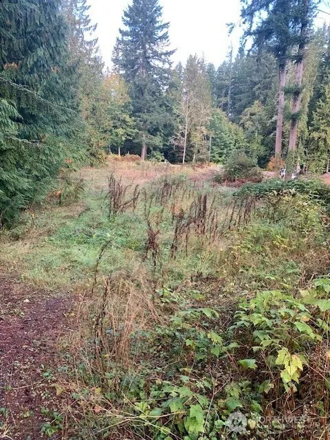3539 278th Place NE, Redmond, WA 98053