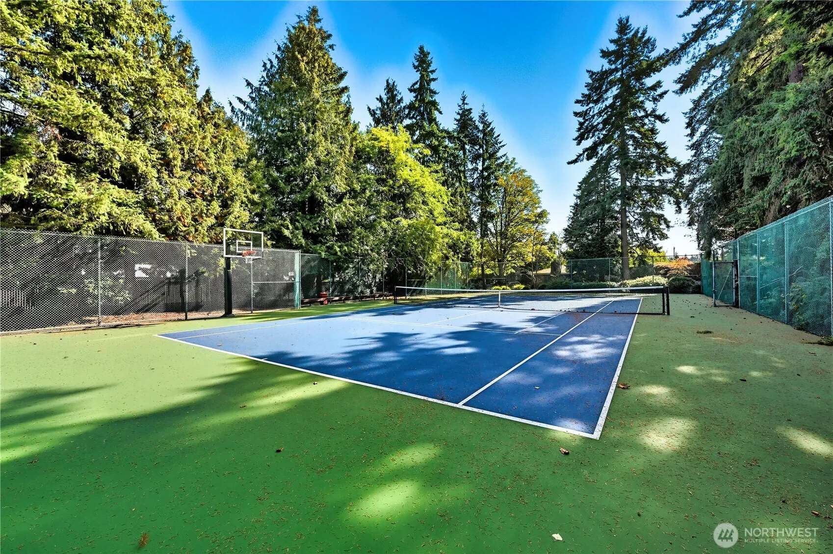 13730 15th Avenue NE #E204, Seattle, WA 98125