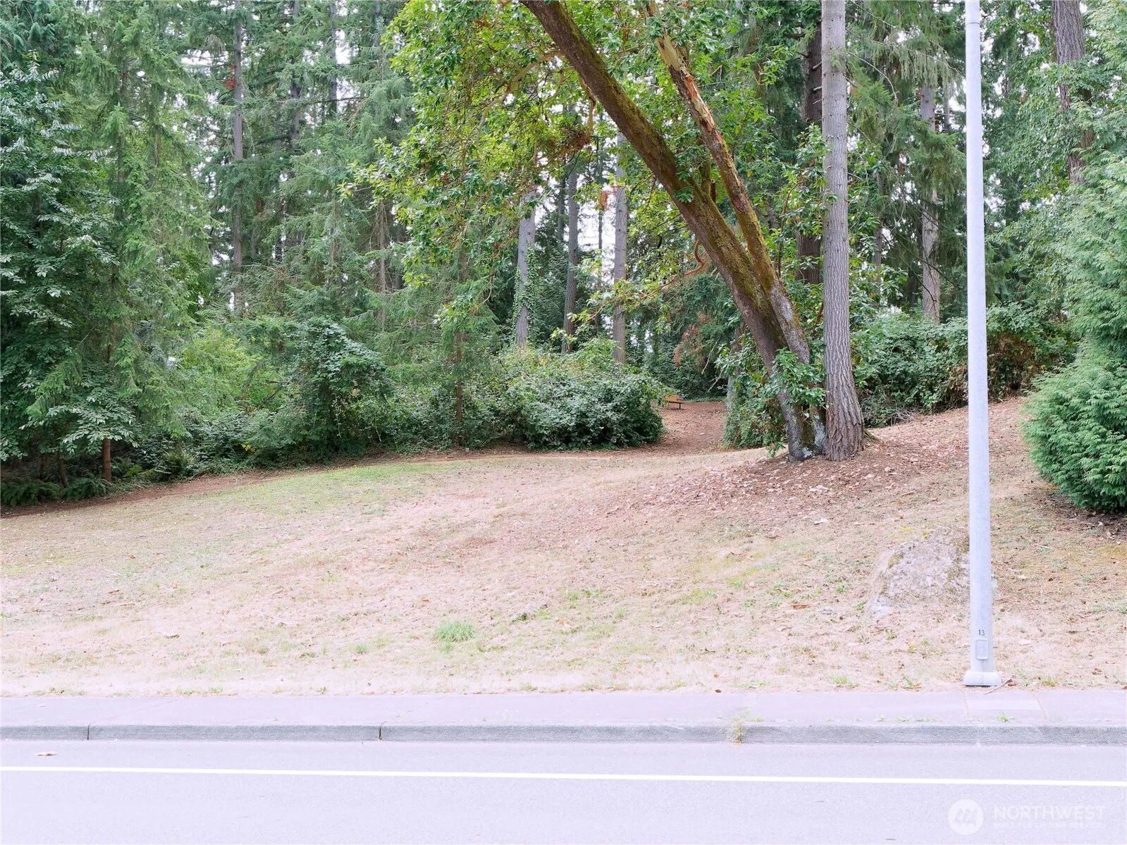 17204 Northup Way , Bellevue, WA 98008