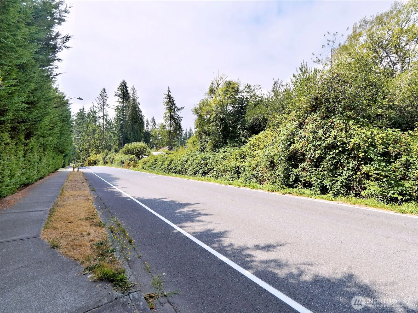 17204 Northup Way , Bellevue, WA 98008