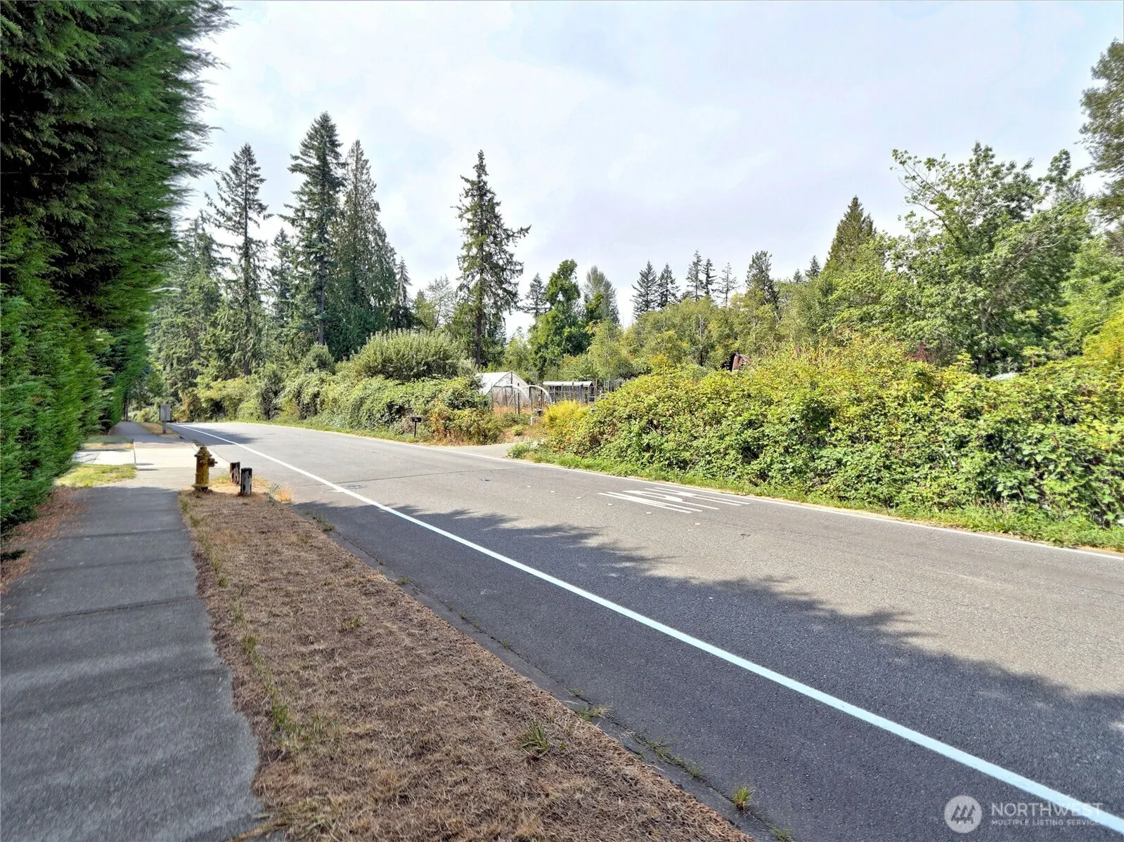 17204 Northup Way , Bellevue, WA 98008