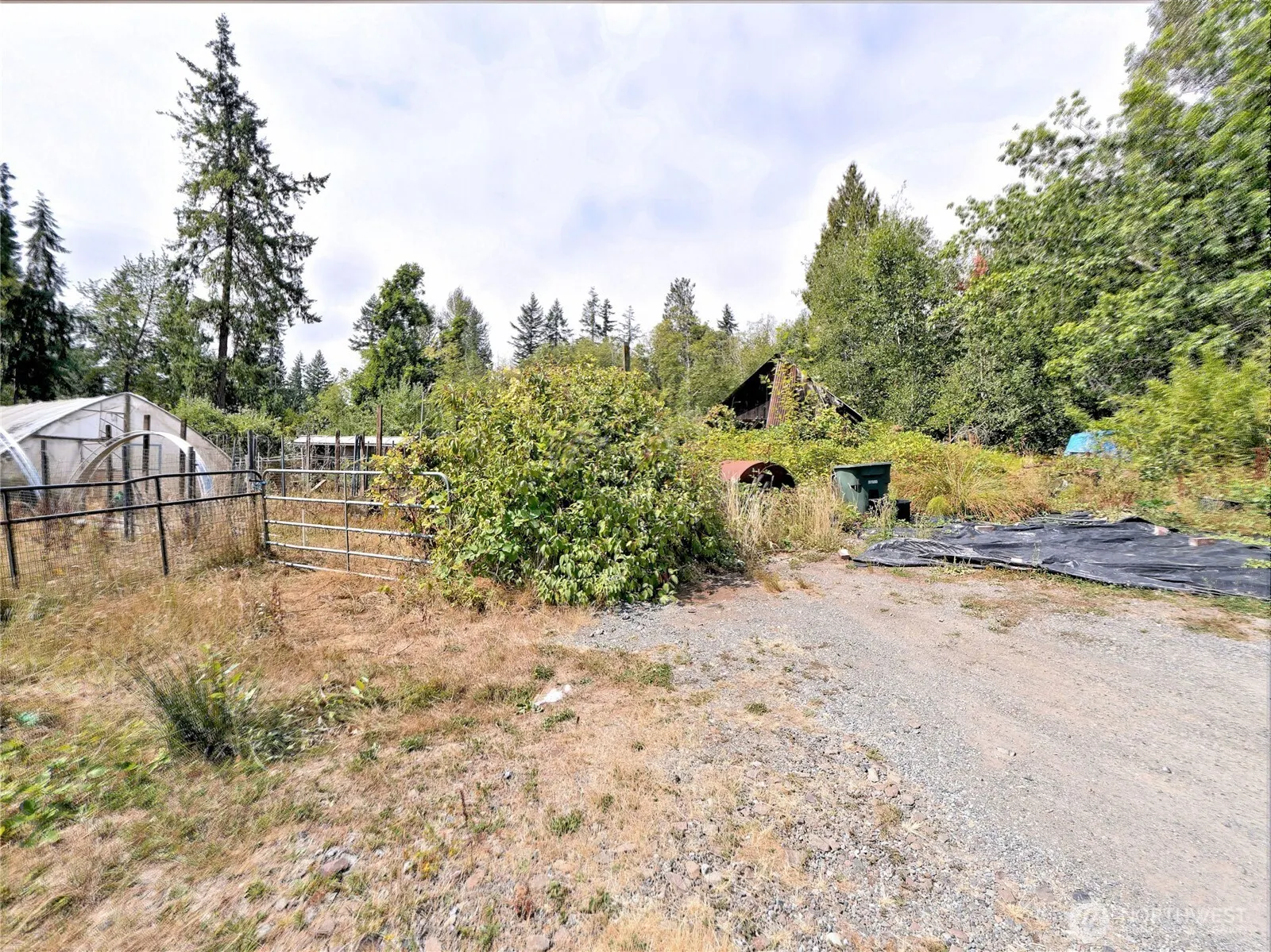 17204 Northup Way , Bellevue, WA 98008