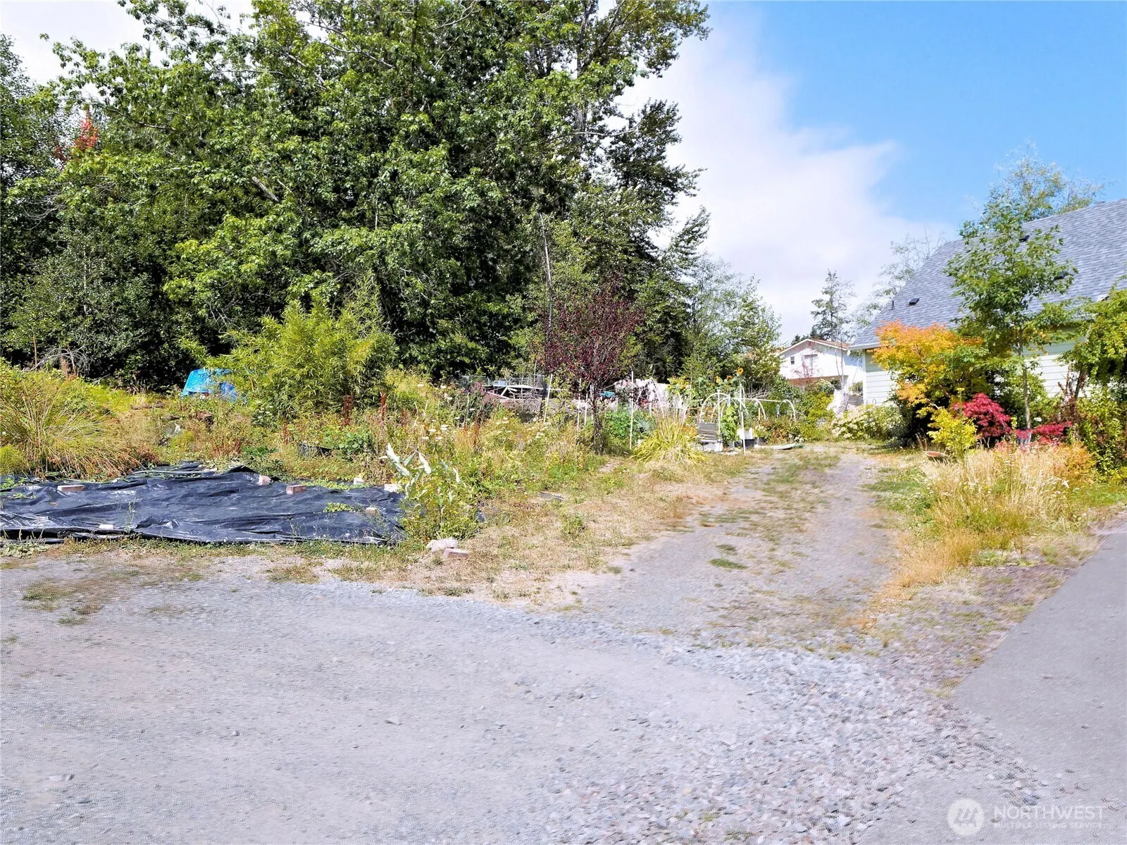 17204 Northup Way , Bellevue, WA 98008