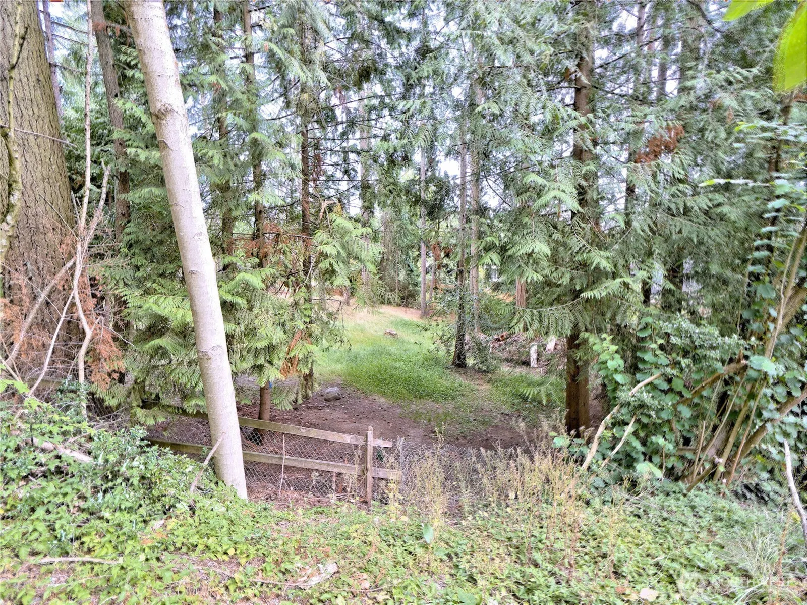 17204 Northup Way , Bellevue, WA 98008