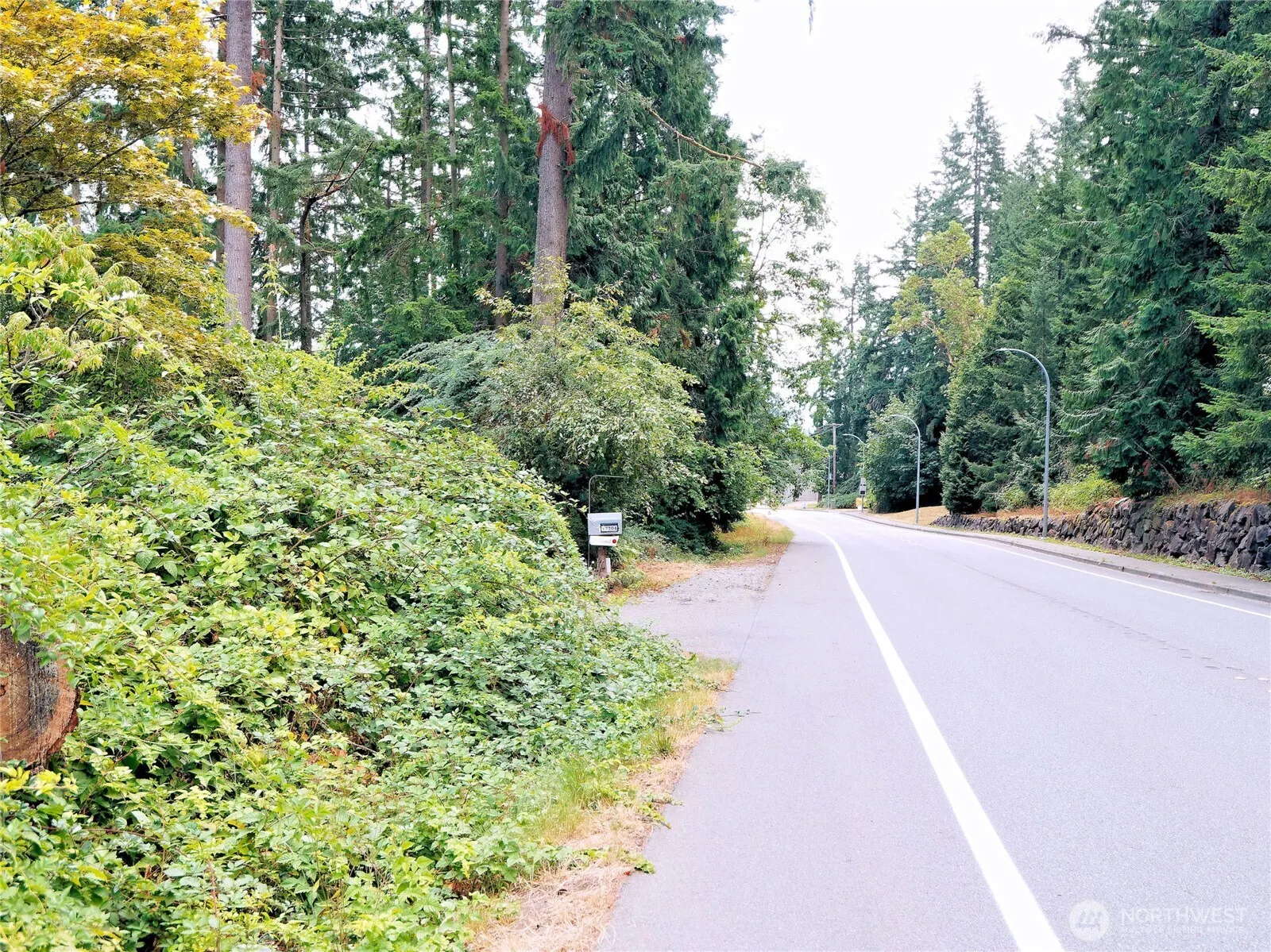17204 Northup Way , Bellevue, WA 98008