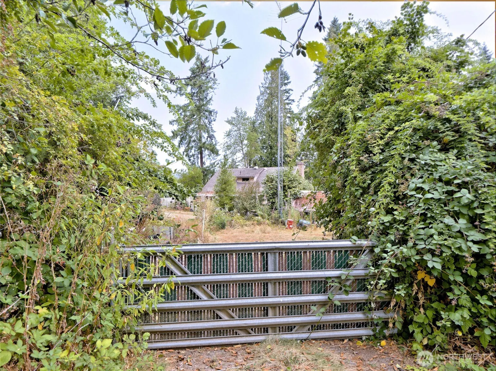 17204 Northup Way , Bellevue, WA 98008
