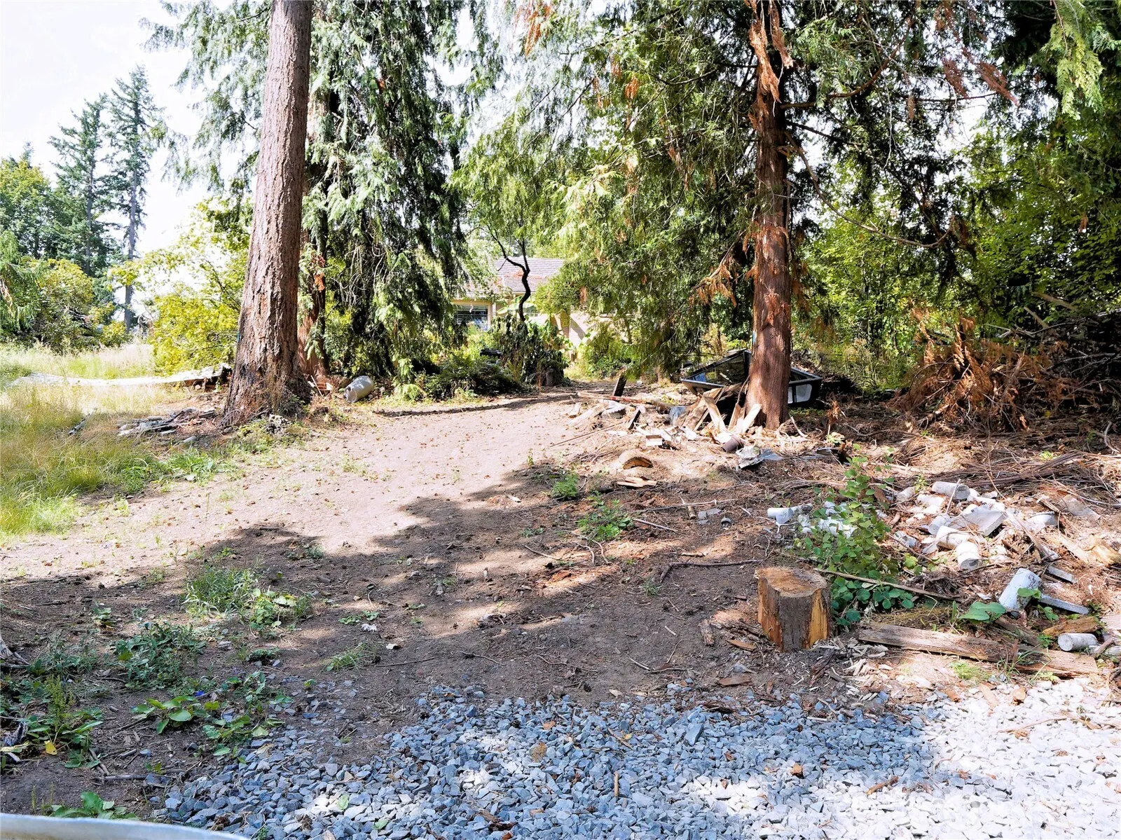 17204 Northup Way , Bellevue, WA 98008