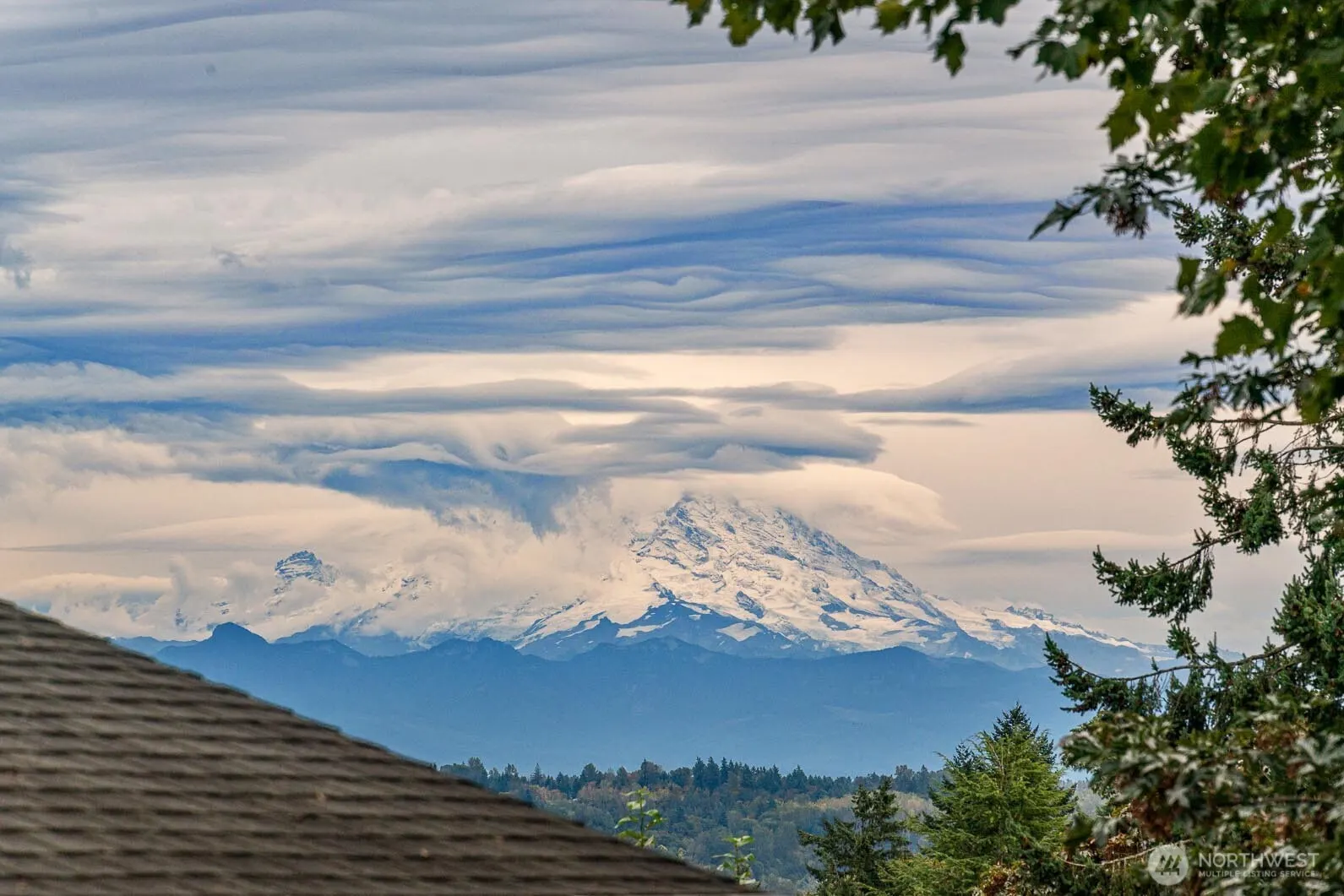 7703 S 128th Street , Seattle, WA 98178