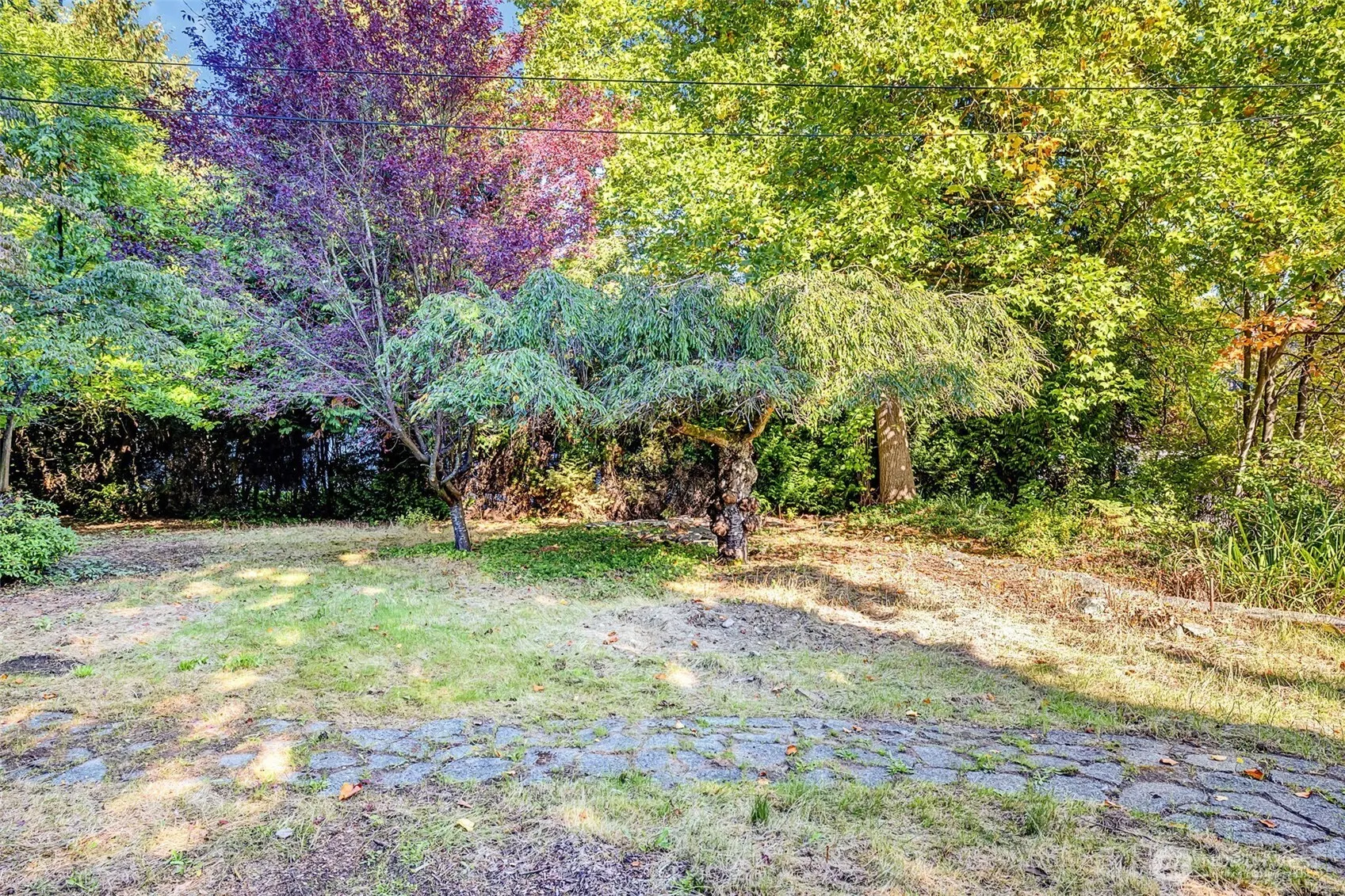 12015 8th Avenue S, Seattle, WA 98168