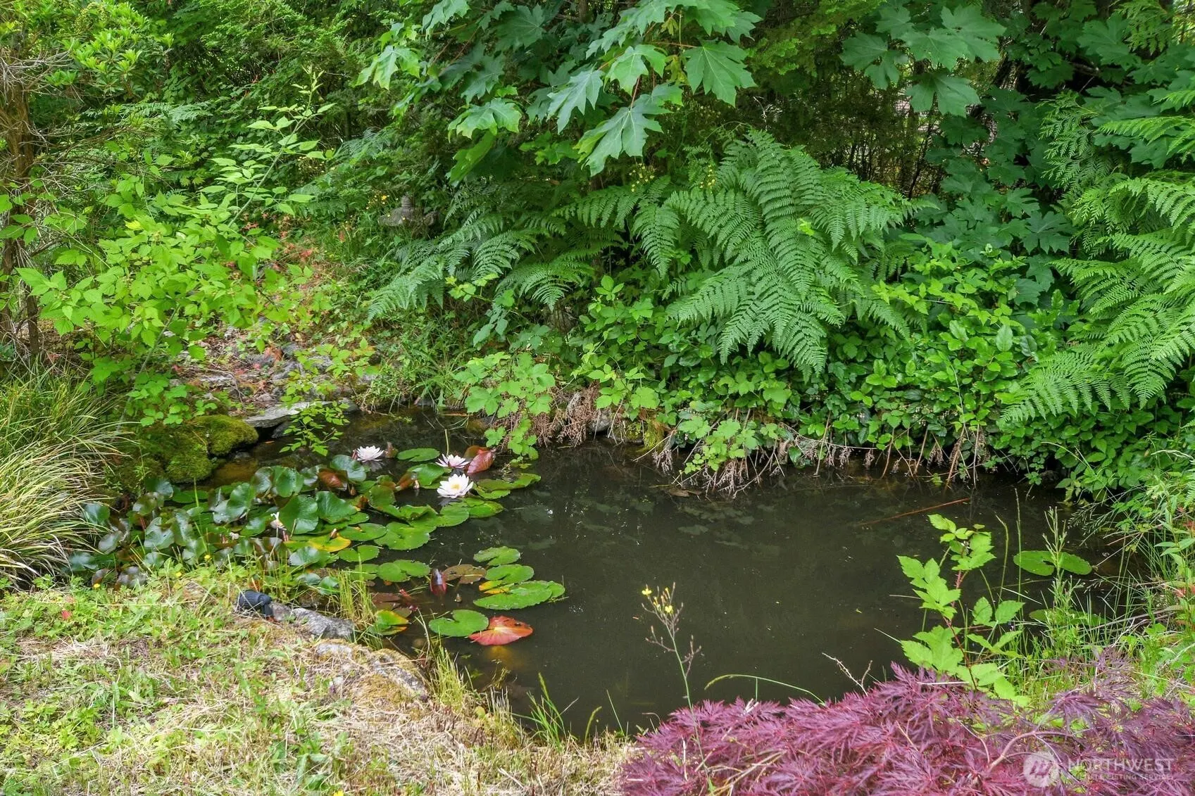 25115 SE 133rd Way , Issaquah, WA 98027