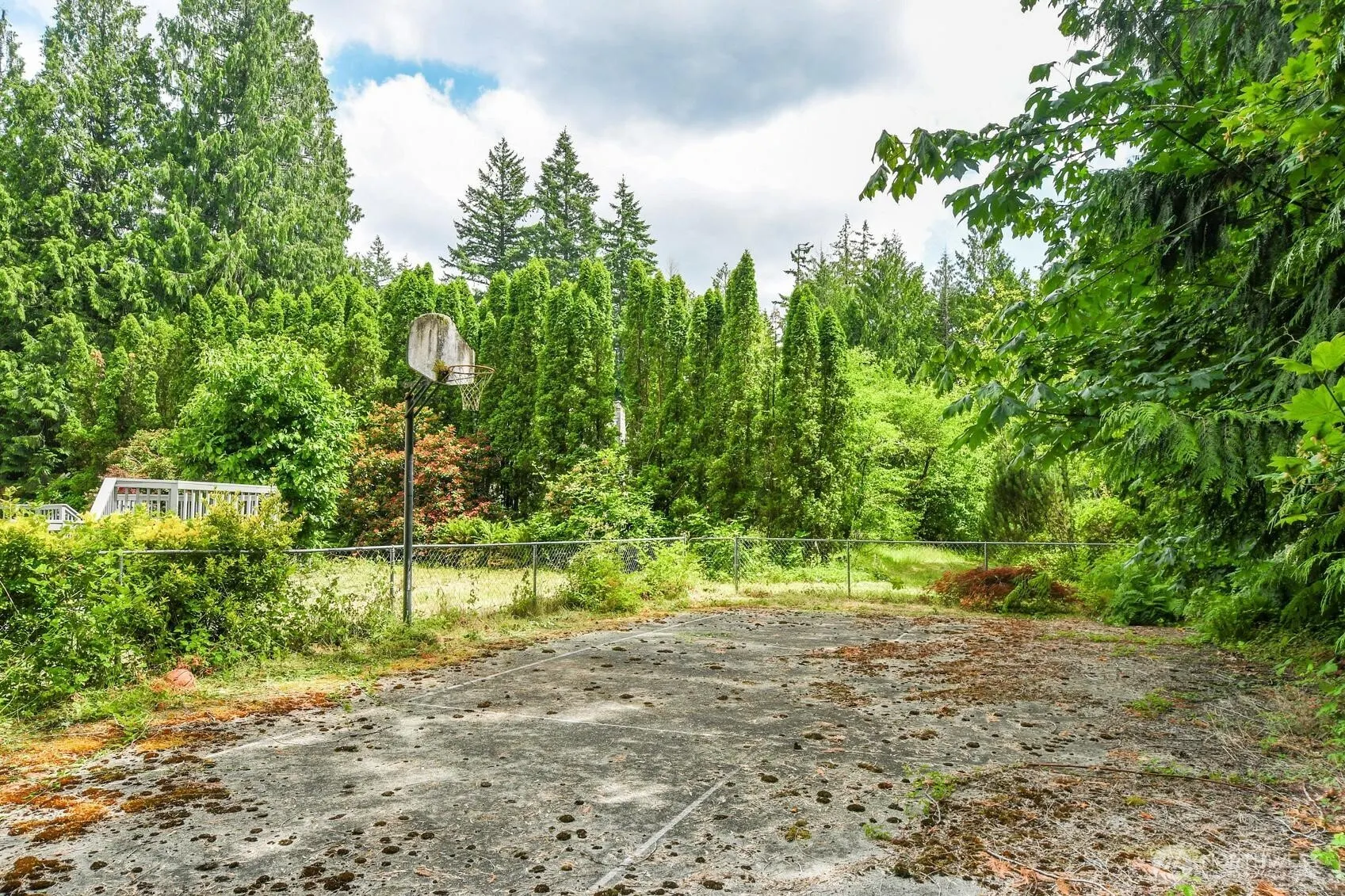 25115 SE 133rd Way , Issaquah, WA 98027